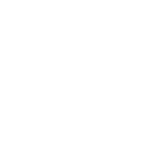Icon Precise Weiß
