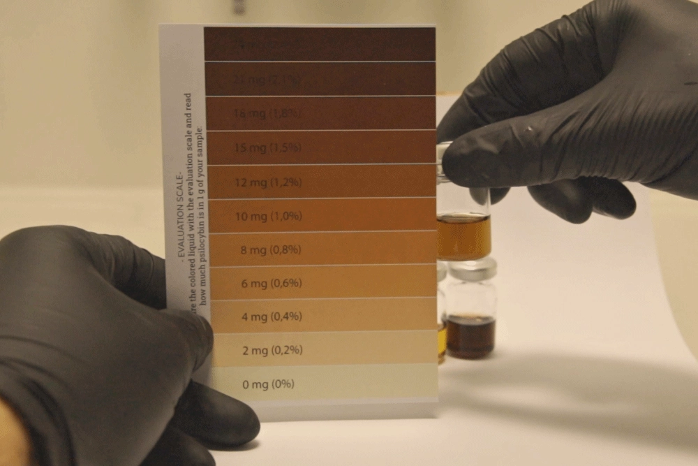 PSILOCYBIN-QTEST – Bild 7